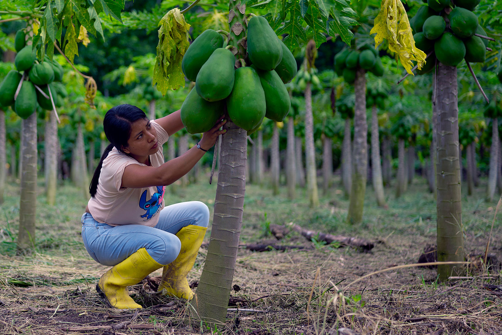 featured background image